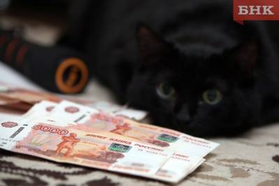 За три дня жители Коми отдали незнакомцам больше миллиона рублей