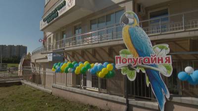 В Минске открылась попугайня