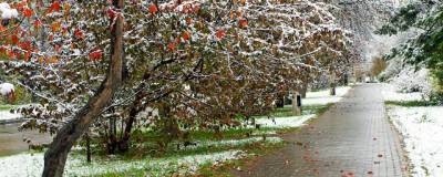 В конце октября в Новосибирской области ожидается первый снег