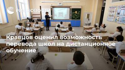 Кравцов оценил возможность перевода школ на дистанционное обучение