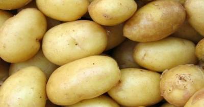 Экспорт картофеля из Ирана освобожден от уплаты налогов и таможенных пошлин
