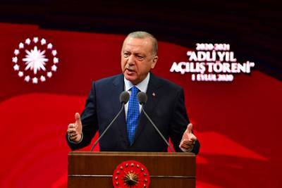 Эрдоган упрекнул Макрона в незнании истории