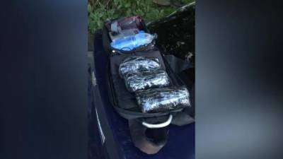Правоохранители изъяли 25 кг наркотиков в частном доме в Ленобласти
