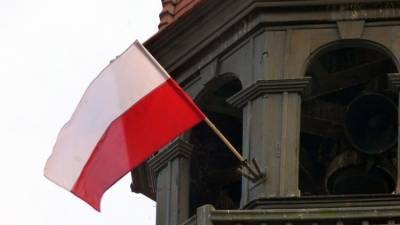 Борисенок объяснил демонстративный жест Польши против диспетчеров РФ