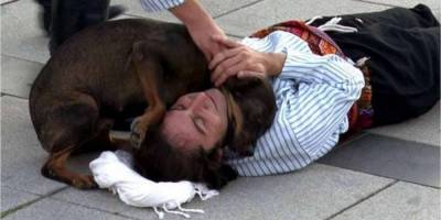 Уличное представление прервала бездомная собака, которая хотела помочь раненному актеру. Теперь он собирается помочь ей найти дом видео