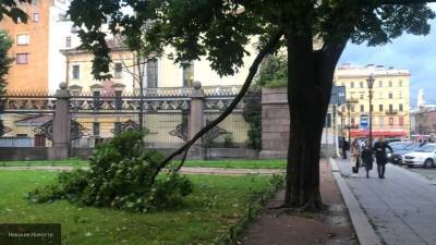 Метеоролог: пик штормового ветра в Петербурге ожидают в ночь на пятницу