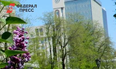 «Газпром» вырубит 150 деревьев на левом берегу Дона