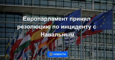 Европарламент принял резолюцию по инциденту с Навальным