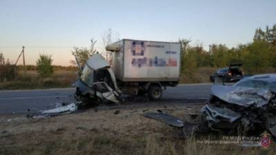Два человека погибли в ДТП с грузовиком в Жирновском районе Волгоградской области