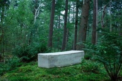 Учёные в Нидерландах создали «живой гроб», который выращивают и он ест покойника