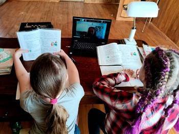 В Вологде и Череповце более 150 классов переведены на дистанционное обучение