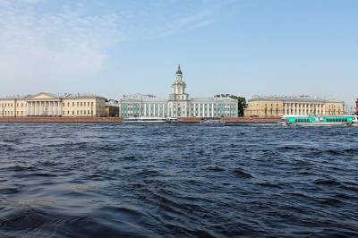 МЧС предупредило петербуржцев о надвигающемся мощном урагане «Айла»