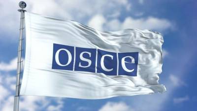 В ОБСЕ создали экспертную миссию по ситуации в Беларуси