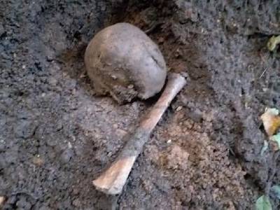 Соцсети: в Смоленске на поверхности земли оказалось «множество скелетов»