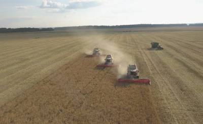 Аграрии 37 районов Татарстана завершили уборку зерновых
