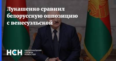 Лукашенко сравнил белорусскую оппозицию с венесуэльской