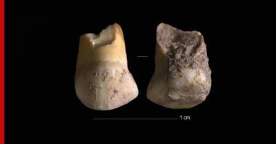 Ученых удивил найденный в Италии зуб возрастом 48 тыс. лет