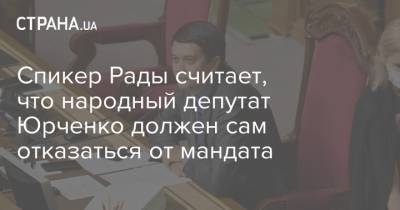 Спикер Рады считает, что народный депутат Юрченко должен сам отказаться от мандата