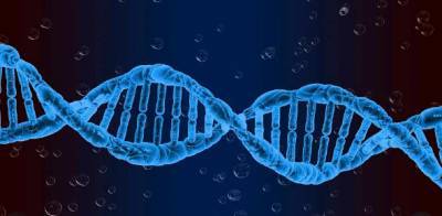 Учёные: Управление бессонницей находится в генах человека