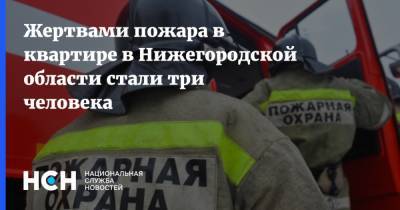 Жертвами пожара в квартире в Нижегородской области стали три человека