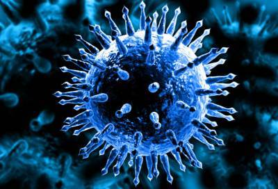 Обнаружен способ снизить риск заражения коронавирусом