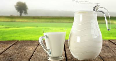 Брестчина с начала года увеличила производство молока на 86,4 тысячи тонн