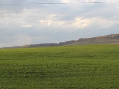 В Башкирии построят зерновой комплекс за 165,5 млн рублей