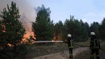 Пожар на военном полигоне: огонь в Киевской области локализовали