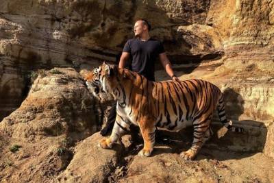 Второй тигр из цирка прогулялся по берегу Кенона в Чите и искупался в озере — видео