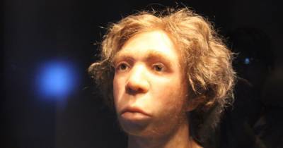 Обнаружен «последний неандерталец» Италии