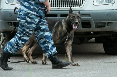 Служебная собака помогла полиции раскрыть кражу шашлыков в Ханты-Мансийске