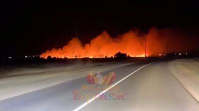 Крупный пожар произошёл в селе под Воронежем