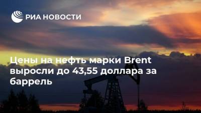 Цены на нефть марки Brent выросли до 43,55 доллара за баррель
