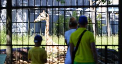 В зоопарке Калининграда рассказали о миллионных убытках из-за пандемии