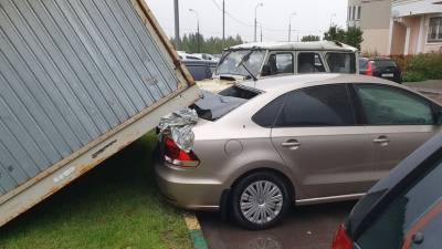 В Москве 42 автомобиля получили повреждения из-за непогоды