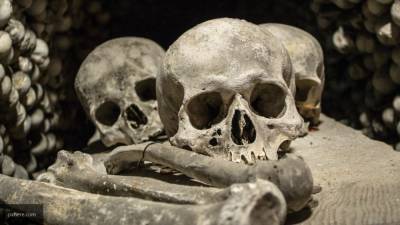 Человеческие кости нашли на стройке в Саратовской области