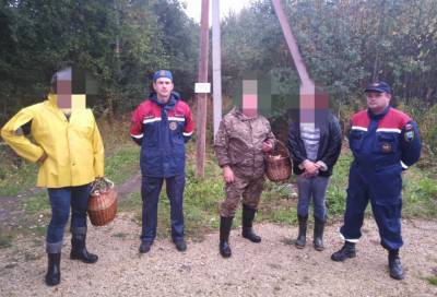 В Тосненском районе спасатели вывели из леса трёх заблудившихся