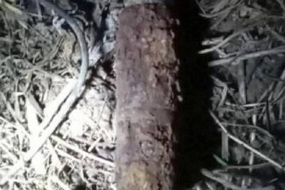 Снаряд, найденный в одном из садоводств Серпухова, обезврежен
