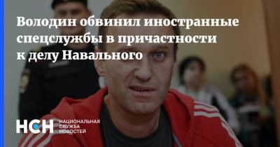 Володин обвинил иностранные спецслужбы в причастности к делу Навального