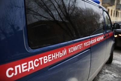 Под Санкт-Петербургом задержали педофила, шантажировавшего девочку из Челябинской области