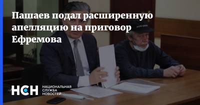 Пашаев подал расширенную апелляцию на приговор Ефремова