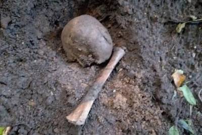 В центре Смоленска на поверхность земли вытолкнуло множество человеческих костей