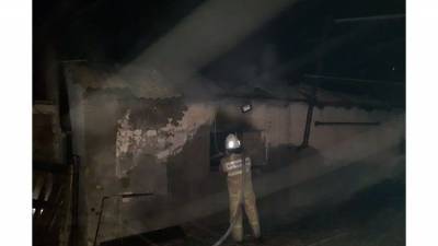 Сотня свиней и 50 тонн зерна сгорели ночью на ферме в Крыму
