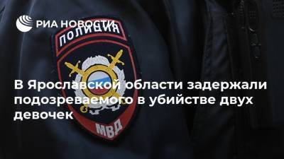 В Ярославской области задержали подозреваемого в убийстве двух девочек