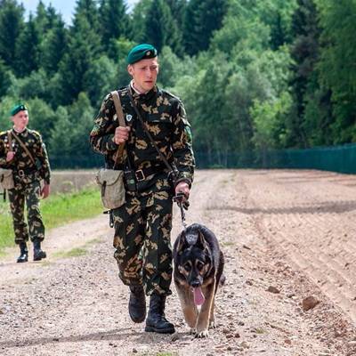 Органы пограничной службы охраняют государственную границу Белоруссии в усиленном режиме