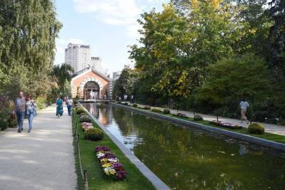Сад дождя откроется 22 сентября в "Аптекарском огороде" - m24.ru
