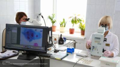 Петербургские медики провели почти 24 тыс. тестов на коронавирус за сутки