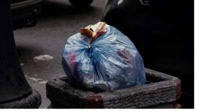 В Сосновом Бору составили график вывоза крупногабаритного мусора