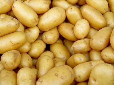 Картофель может стать отравой: ТОП-4 советов по обращению с картошкой