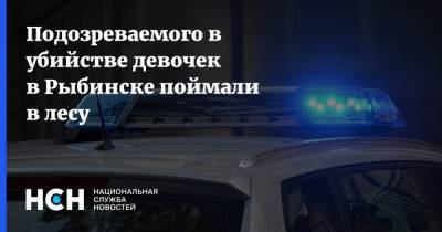 Подозреваемого в убийстве девочек в Рыбинске поймали в лесу